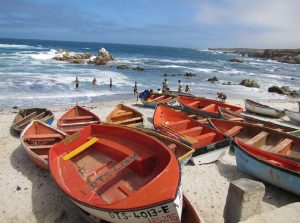Namaqua West Coast region info