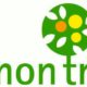 Lemon Tree Restaurant & Coffee Shop