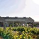 Teubes Wines Vredendal