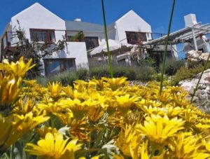 Farr Out Guesthouse