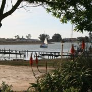 The River House