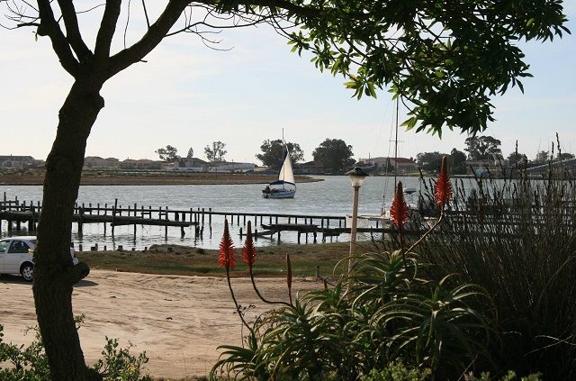The River House