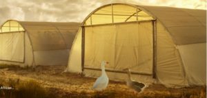 Zimzi Farm Produce