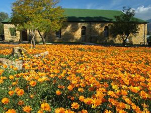 Citrusdal Things to Do & See
