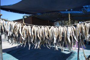Velddrif Things to Do & See